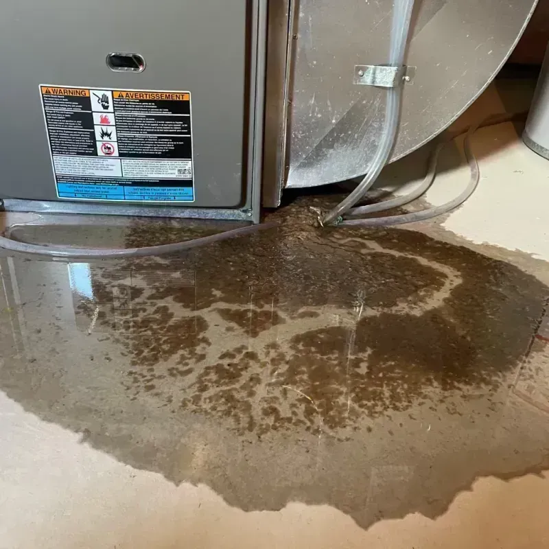 Appliance Leak Cleanup in Wolfforth, TX